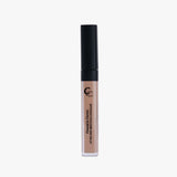 Conceal to Correct (Lifting)